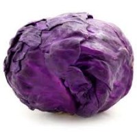 Repollo Morado